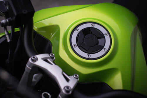 TigerSport660_MY25-3177_GE