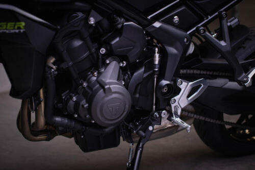 TigerSport660_MY25-3211_GE