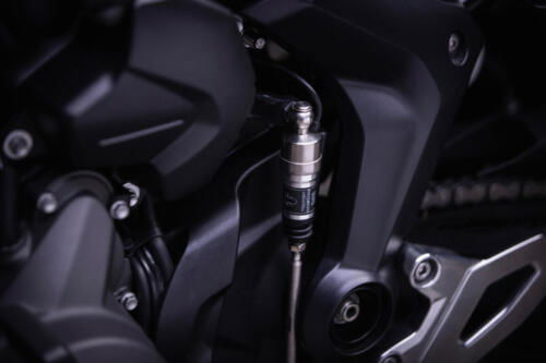 TigerSport660_MY25-3223_GE