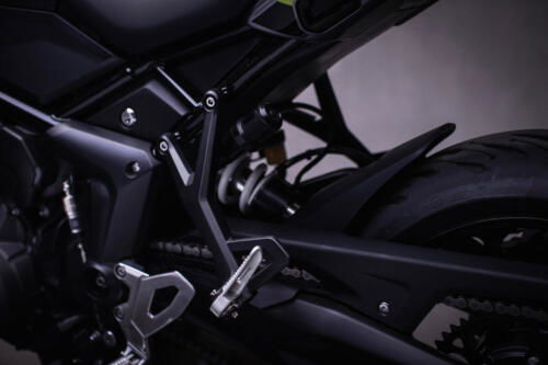 TigerSport660_MY25-3257_GE