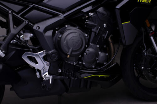 TigerSport800_MY25-2431_GE