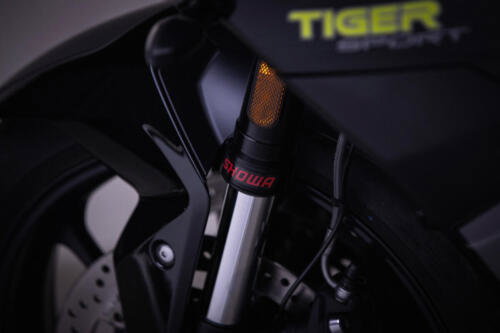 TigerSport800_MY25-2602_GE