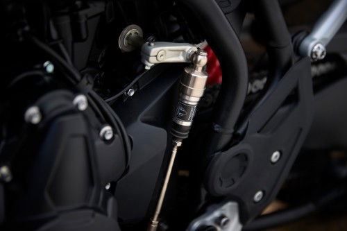 Tiger_900_Alpine_Edition_MY26_CW4I9425_GE