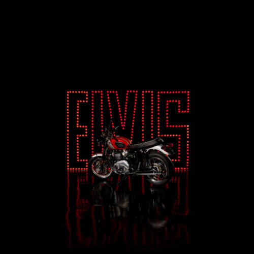 Triumph BONNEVILLE T120 ELVIS PRESLEY LIMITED EDITION (16)
