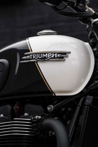 Triumph Bonneville T120 Black DGR Limited Edition (29)