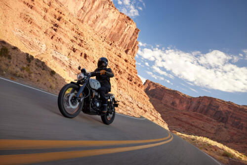 Triumph Scrambler 1200 X - 2024 (22)