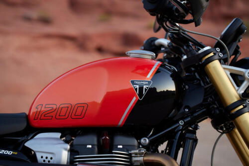 Triumph Scrambler 1200 XE - 2024 (12)