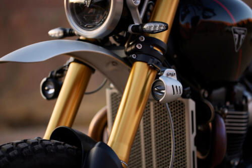 Triumph Scrambler 1200 XE - 2024 (38)