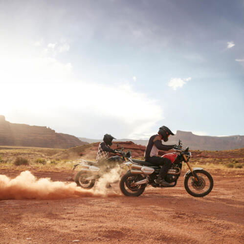 Triumph Scrambler 1200 XE - 2024 (8)