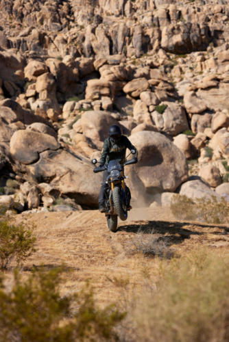 Triumph Scrambler 400 X Accessories (10)