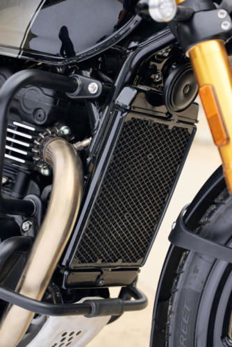 Triumph Scrambler 400 X Accessories (17)