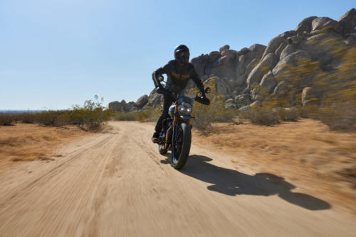 Triumph Scrambler 400 X Accessories (7)