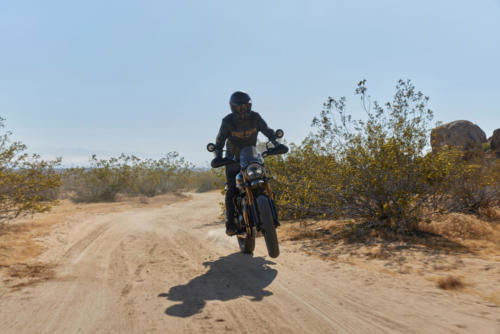 Triumph Scrambler 400 X Accessories (8)