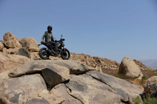 Triumph Scrambler 400 X Static (11)