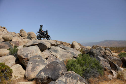 Triumph Scrambler 400 X Static (12)