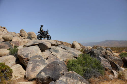 Triumph Scrambler 400 X Static (12)