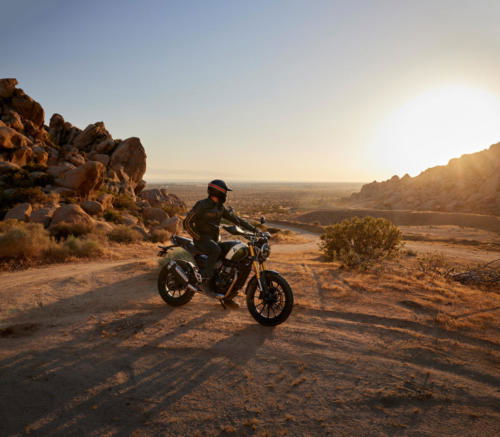 Triumph Scrambler 400 X Static (6)