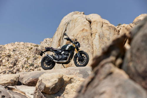 Triumph Scrambler 400 X Static (8)