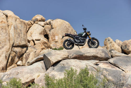 Triumph Scrambler 400 X Static (9)