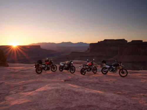 Triumph Scrambler1200 X und XE - 2024 (14)