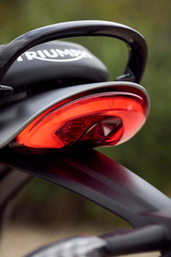 Triumph Speed 400 Details (15)