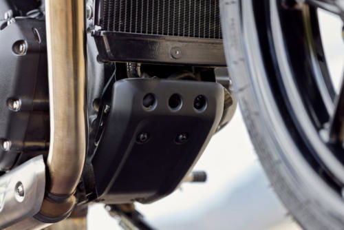 Triumph Speed 400 Details (4)