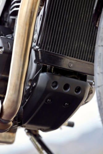 Triumph Speed 400 Details (5)