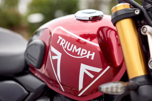 Triumph Speed 400 Details (7)
