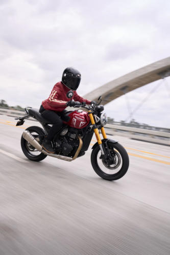 Triumph Speed 400 Dynamic (13)