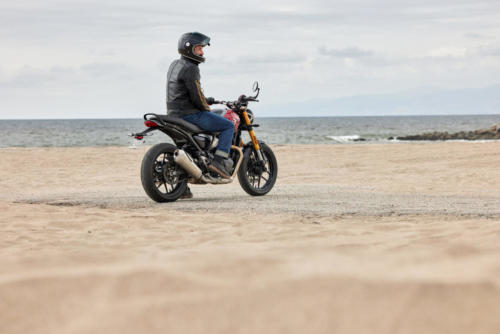 Triumph Speed 400 Dynamic (3)