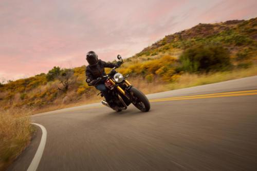 Triumph Speed 400 Dynamic (6)