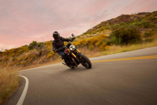 Triumph Speed 400 Dynamic (6)