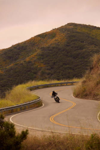 Triumph Speed 400 Dynamic (8)