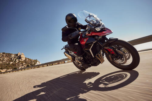 Triumph Tiger 900 GT Pro - 2024 (1)