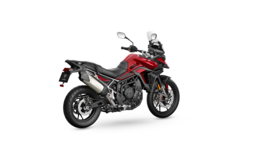Triumph Tiger 900 GT Pro - 2024 (1)