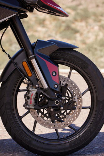 Triumph Tiger 900 GT Pro - 2024 (16)