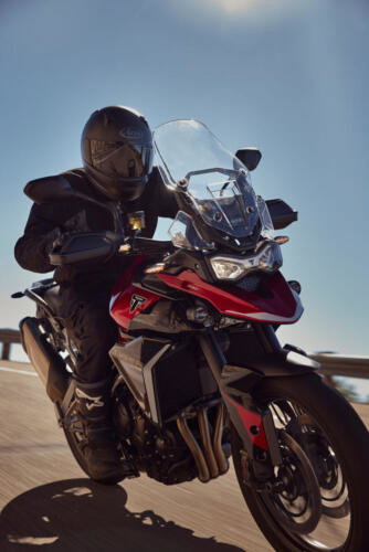 Triumph Tiger 900 GT Pro - 2024 (2)