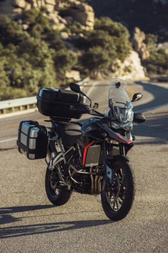 Triumph Tiger 900 GT Pro - 2024 (8)