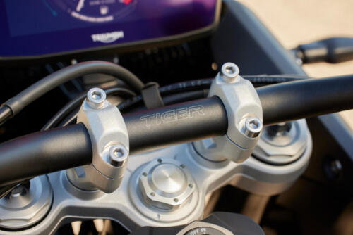 Triumph Tiger 900 GT Pro - 2024 (9)