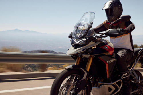 Triumph Tiger 900 Rally Pro - 2024 (1)