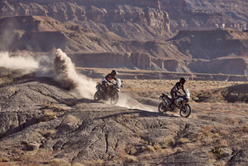 Triumph Tiger 900 Rally Pro - 2024 (11)