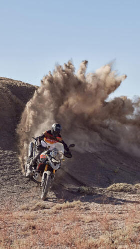 Triumph Tiger 900 Rally Pro - 2024 (12)