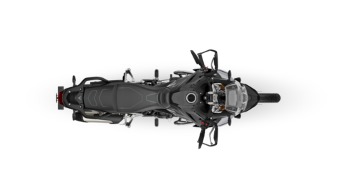 Triumph Tiger 900 Rally Pro - 2024 (14)
