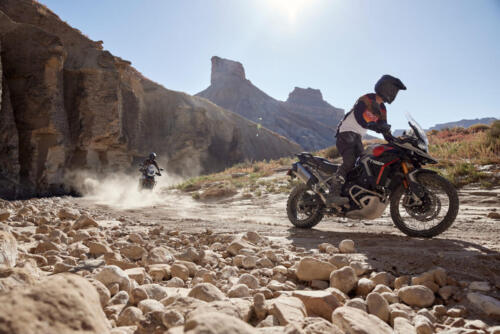 Triumph Tiger 900 Rally Pro - 2024 (15)