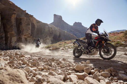 Triumph Tiger 900 Rally Pro - 2024 (15)