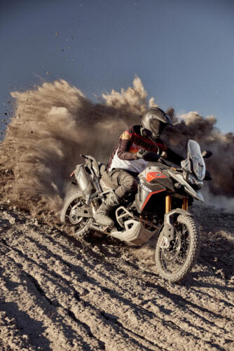 Triumph Tiger 900 Rally Pro - 2024 (16)