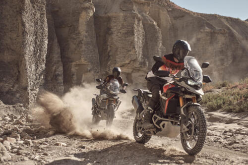 Triumph Tiger 900 Rally Pro - 2024 (17)