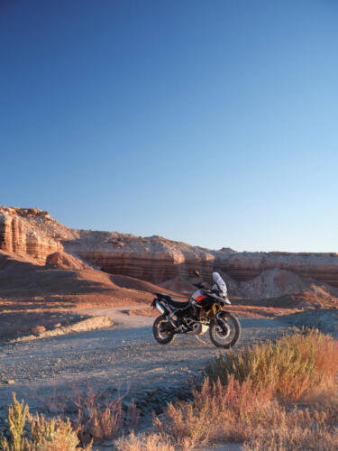 Triumph Tiger 900 Rally Pro - 2024 (2)