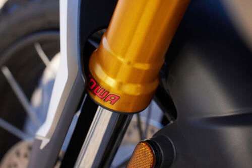 Triumph Tiger 900 Rally Pro - 2024 (20)