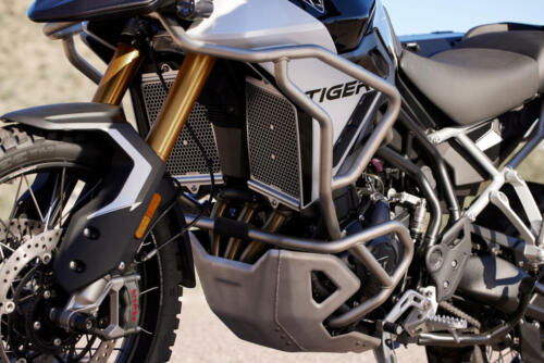 Triumph Tiger 900 Rally Pro - 2024 (21)
